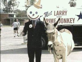 Meet  Larry the Crime Donkey